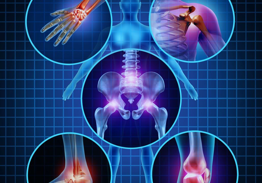 Joints that can be affected by osteoarthritis